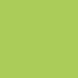 ppic1 051.6371. Bande de chant en mélaminé Vert F