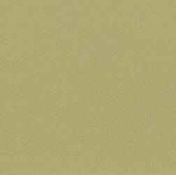 ppic1 04V.6515. ABS Kante Pistachio Green Velours