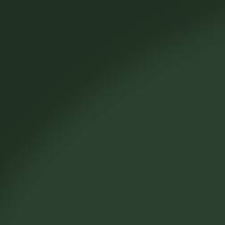 ppic1 04M.6870. ABS Kante Grün supermatt