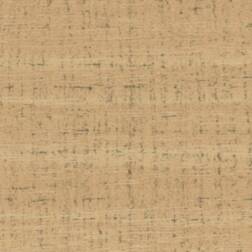 ppic1 046.1004. ABS Kante Natureiche Rau Holzpore