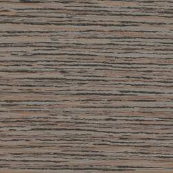 ppic1 046.1347. Bande de chant ABS Bamenda grège