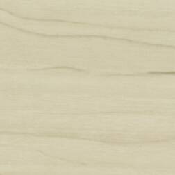 ppic1 Abet-Print 3626 Diafos