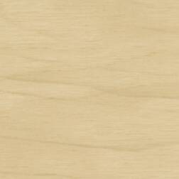 ppic1 048.3787. ABS Kante Birke miniperl