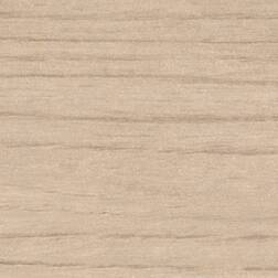 ppic1 Abet-Print 3626 Diafos