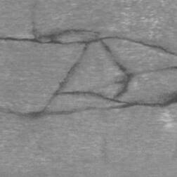 ppic1 045.8591. ABS Kante Grey Yule glatt