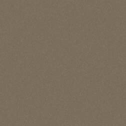 ppic1 048.8701. Bande de chant ABS Metallic Laser