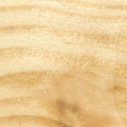 ppic1 070.5200. Cant de furnir pin nordic lustrui