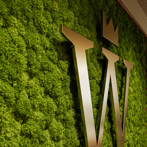 Buy moss panels online at OSTERMANN
