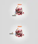 OSTERMANN liefert im Bereich der Beschläge jetzt sogar zwei starke Marken.