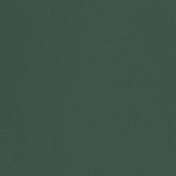 F31 Labrador Green Minipearl