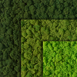 Diverse mosoppervlakken