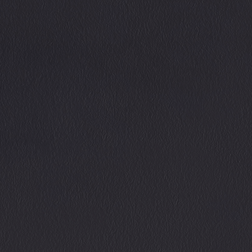 B6451 Midnight Black