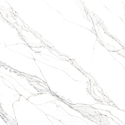 B5626 Calacatta Venadoro