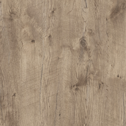 1157 Asteiche antik grau