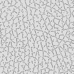 N + P Leather Texture xxN(P).xxxx.xxxxx