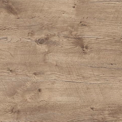 1157 Asteiche antik grau