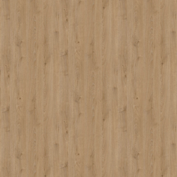 3638 Avena Natur
