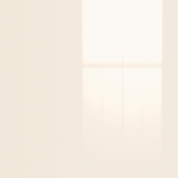 500 Magnolia (RAL 9001)