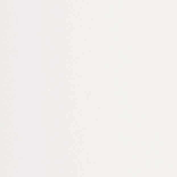 530 Traffic white (RAL 9016)