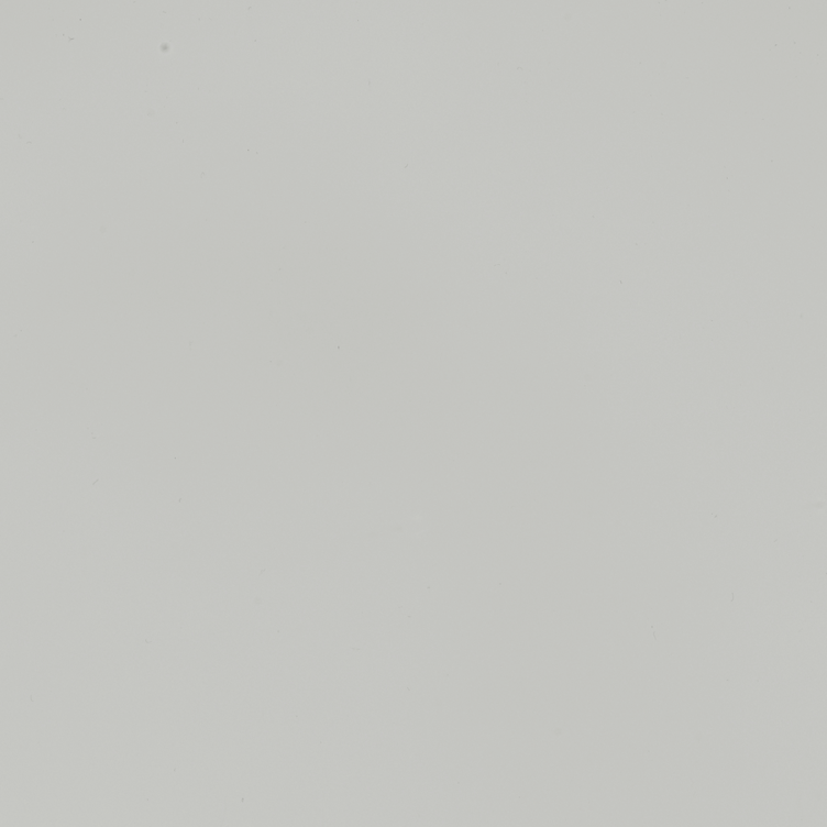 F25 Ash Grey Perfect Feel