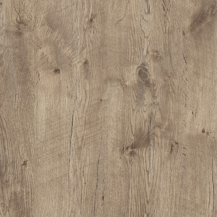 1157 Asteiche antik grau