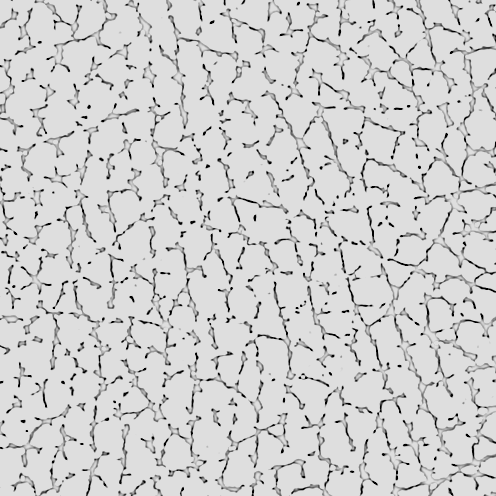 N + P Leather Texture xxN(P).xxxx.xxxxx