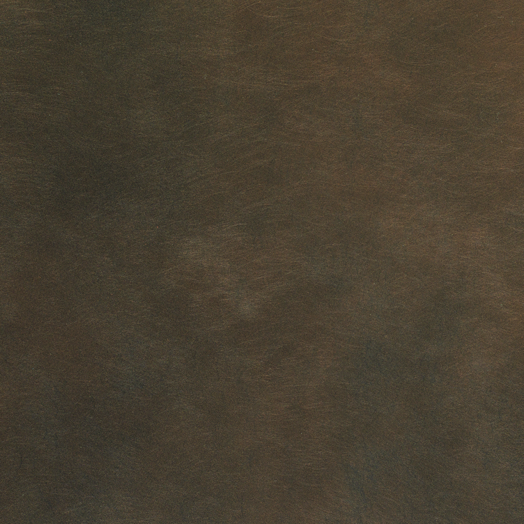 Burnished Brush
